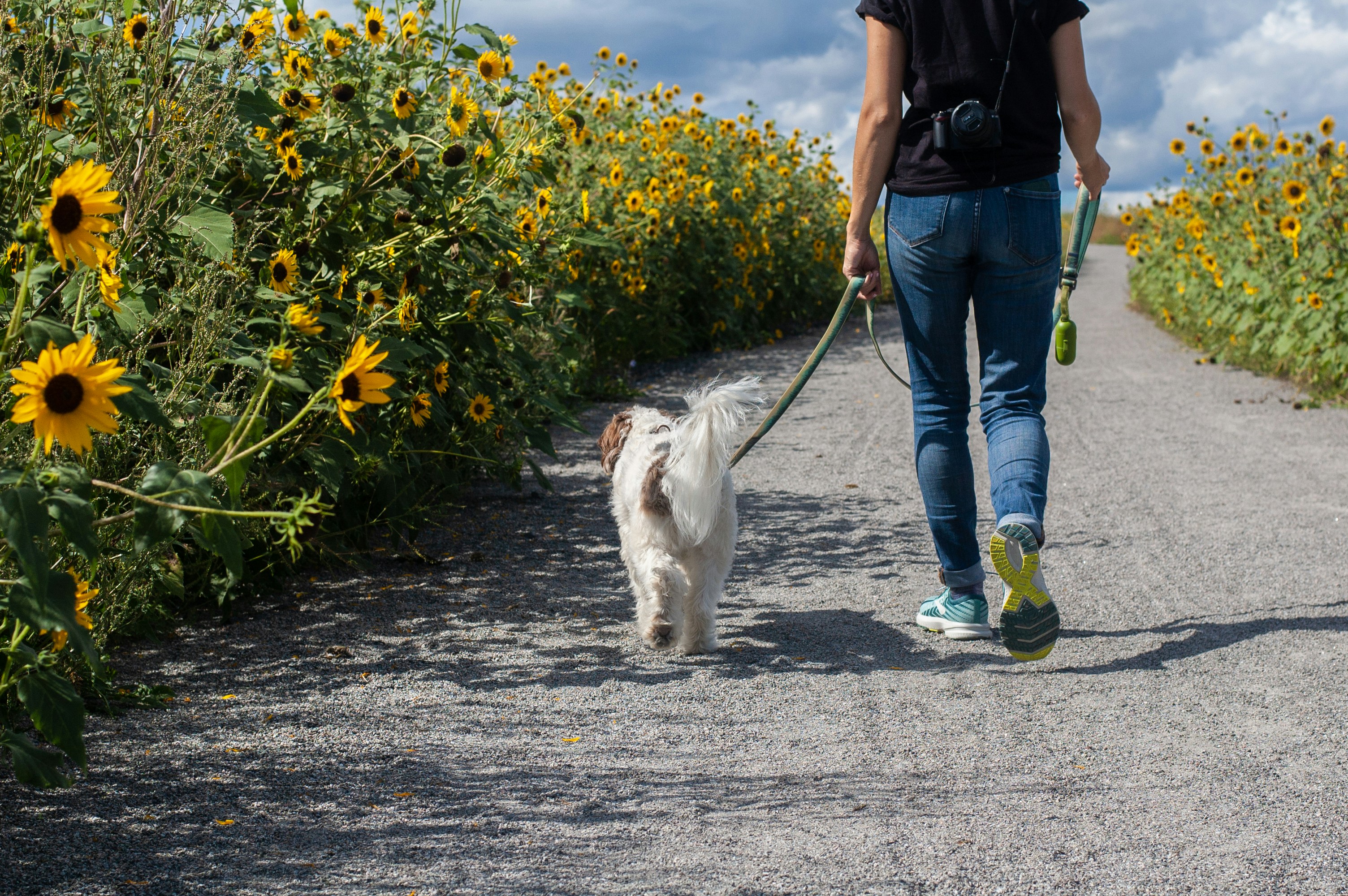 A dog walker smiling with a happy dog on a leash outdoors on Camano Island